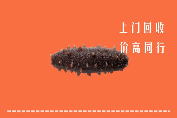 高价求购：临夏县回收海参